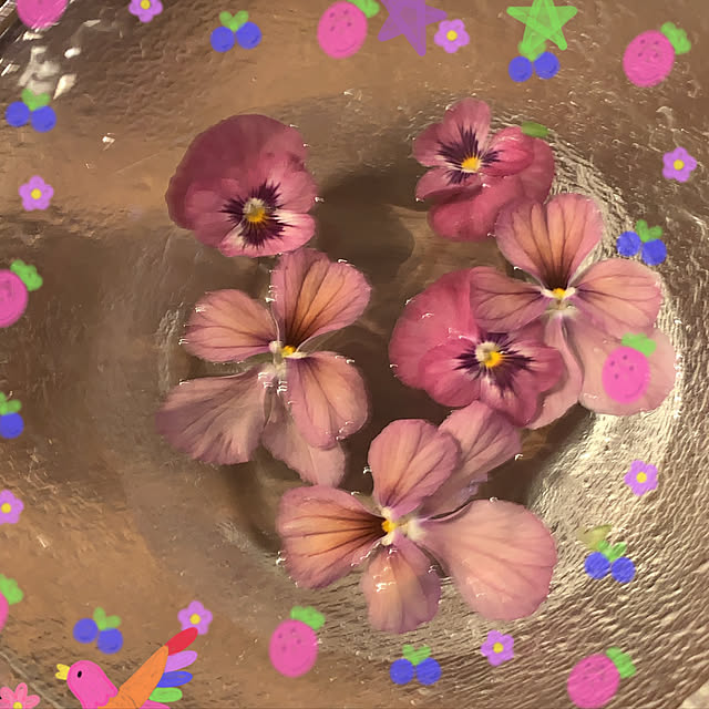 実例写真