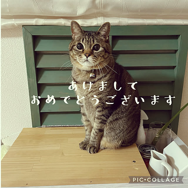 t-famさんの実例写真