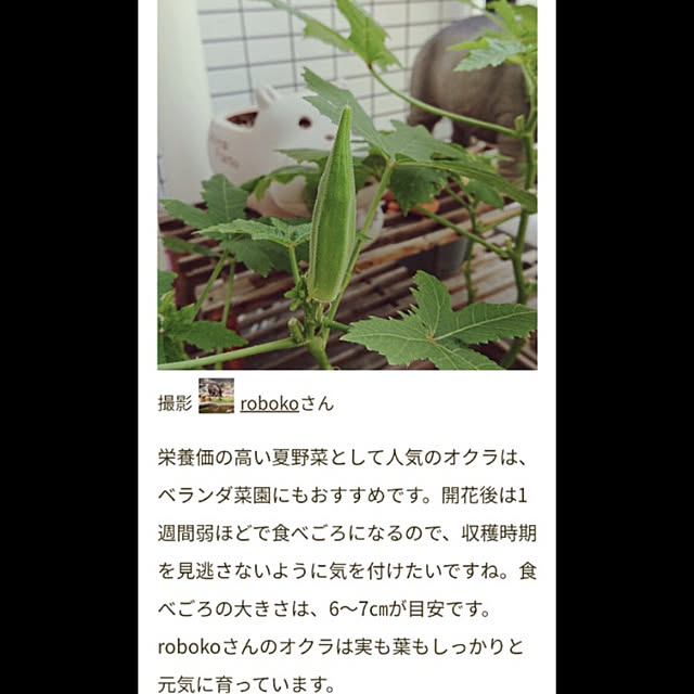 robokoさんの実例写真