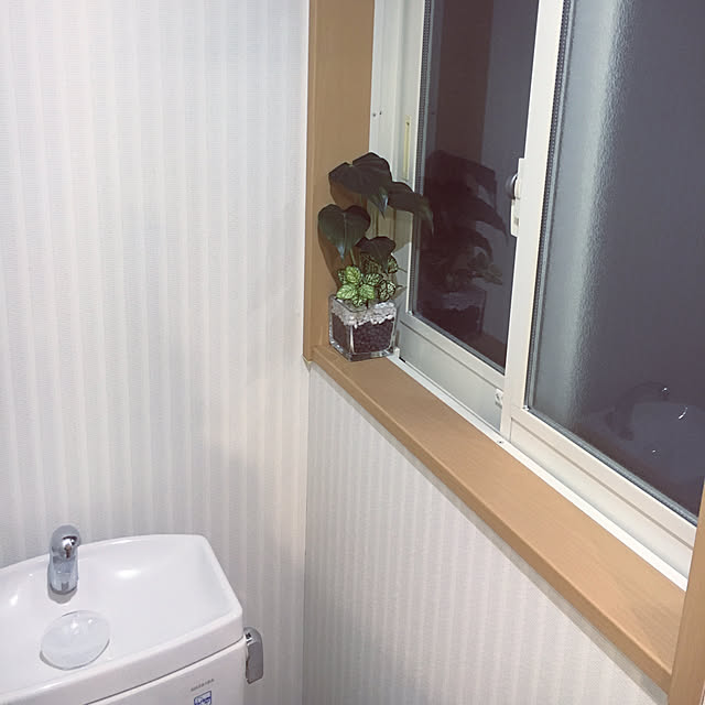 Koujiさんの実例写真