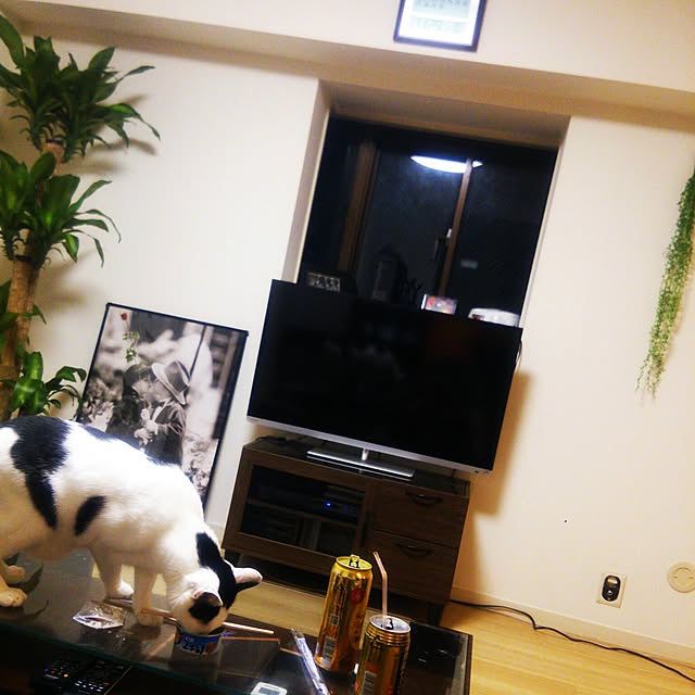 noguchiken0102さんの実例写真