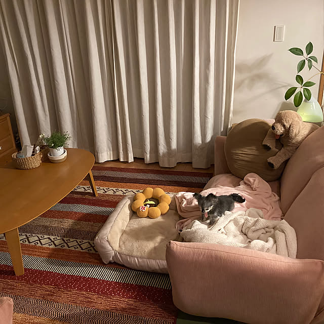 mameluckさんの実例写真