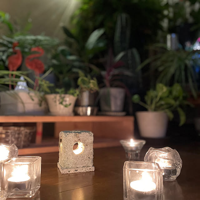 moonlightさんの部屋