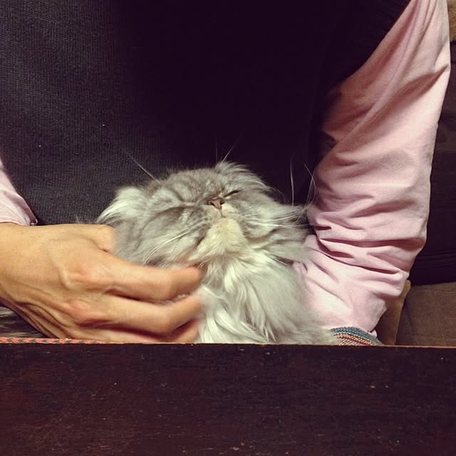 uni0609さんの実例写真