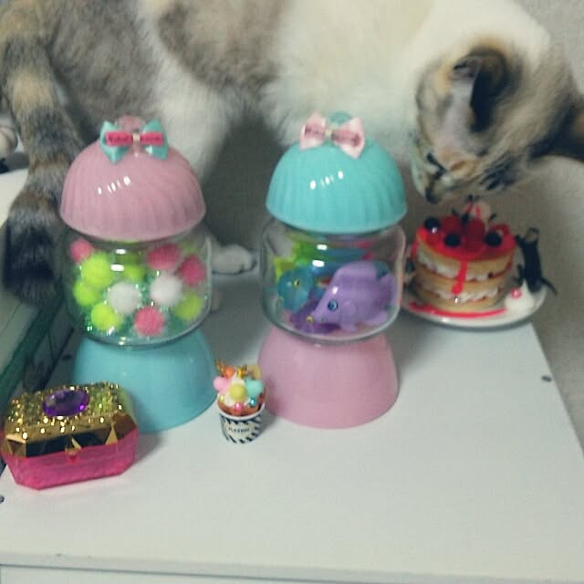 mzk5678910さんの実例写真