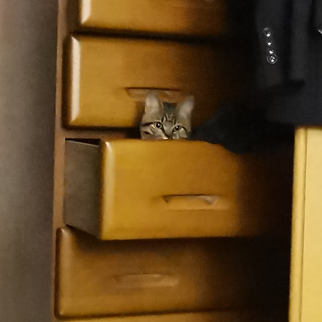 harutanさんの実例写真