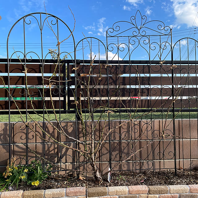 ronronさんの実例写真