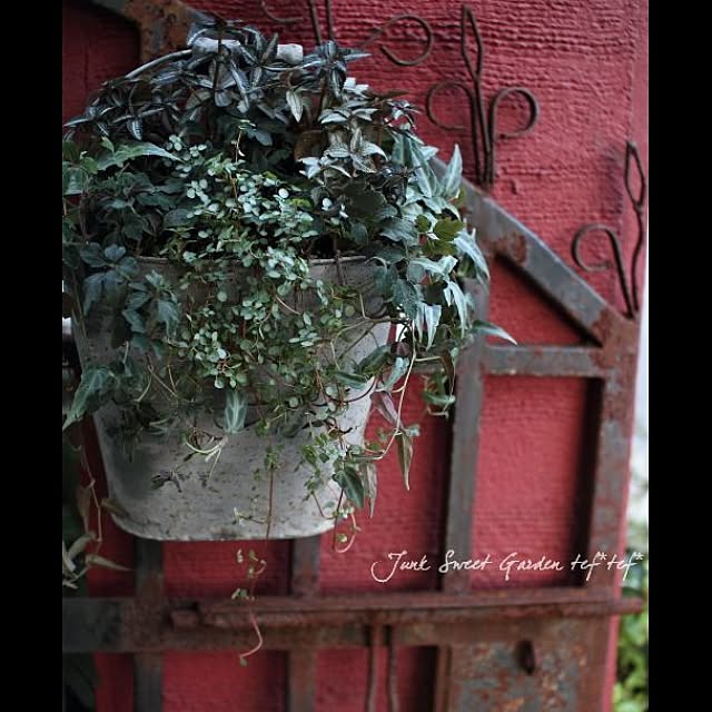 Junk_sweet_Garden_teftefさんの実例写真