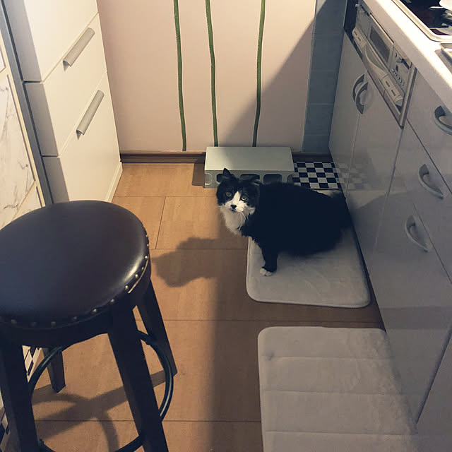 kanaさんの実例写真