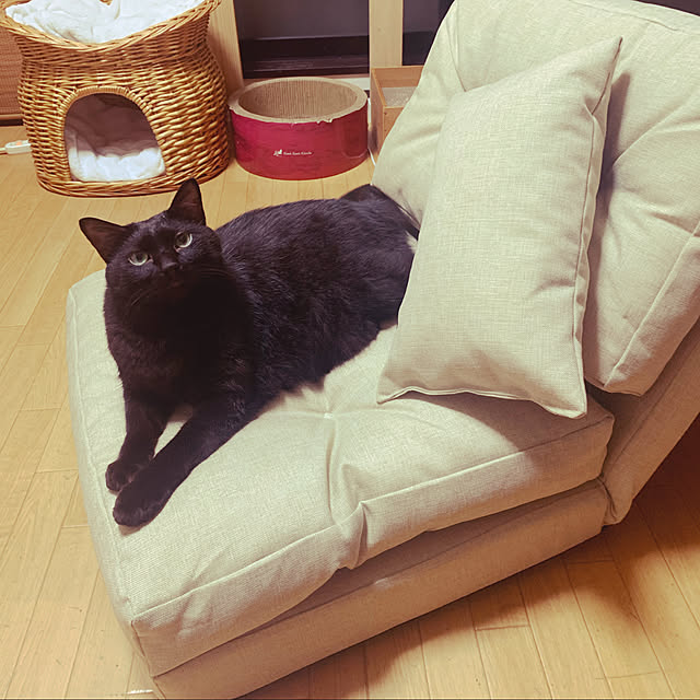 ramiel1202さんの実例写真