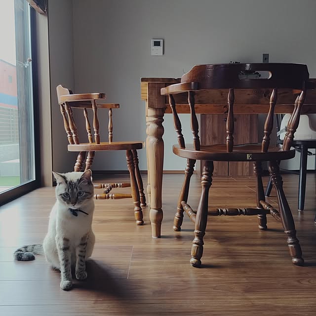 Atelier_tamakiさんの実例写真