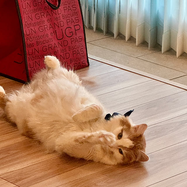 yutaさんの部屋