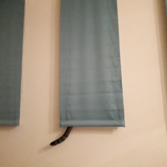 JASMINEさんの実例写真