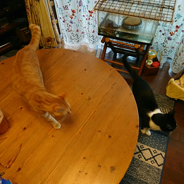 okyosan101さんの実例写真