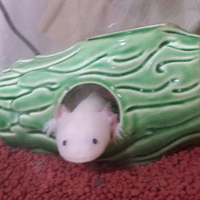 nozomiさんの実例写真