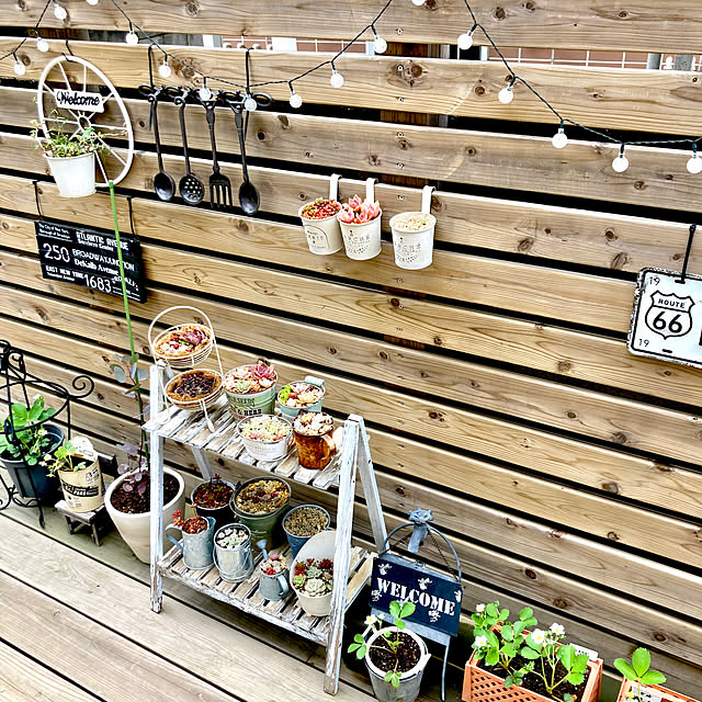 ソーラーライト/ポポラスユーカリ/ウッドデッキ/多肉植物寄せ植え/いちご栽培...などのインテリア実例 - 2023-04-02 13:04:43