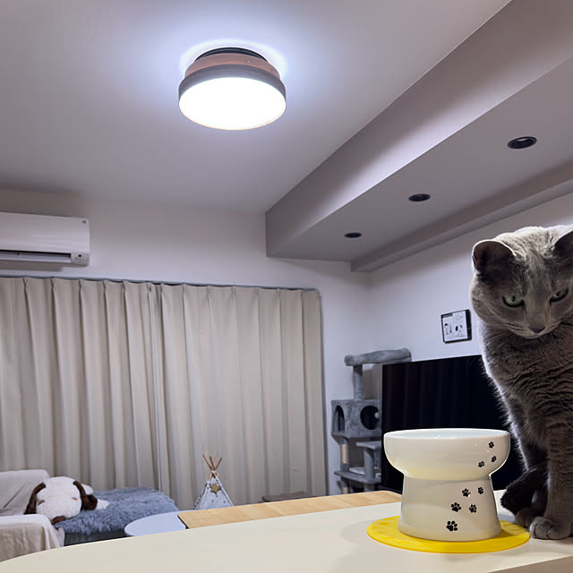 snoopyさんの実例写真