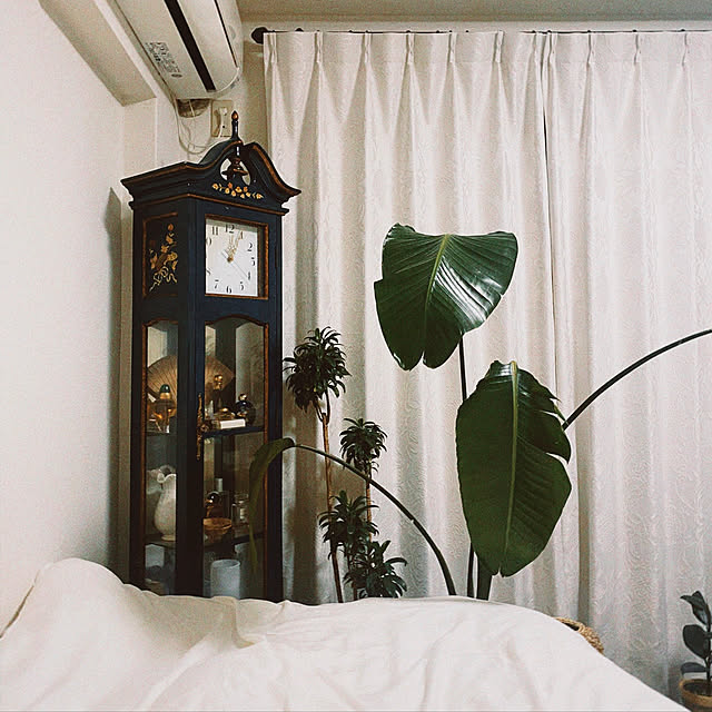 eden___001さんの実例写真