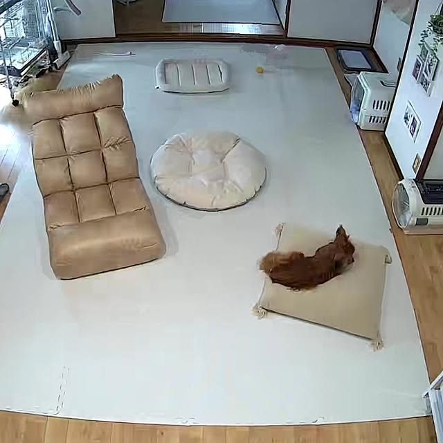 toratanさんの実例写真