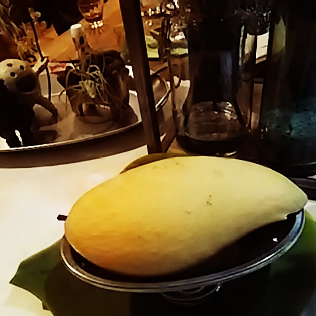 spinetailさんの実例写真