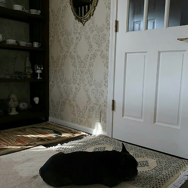 figaroさんの実例写真