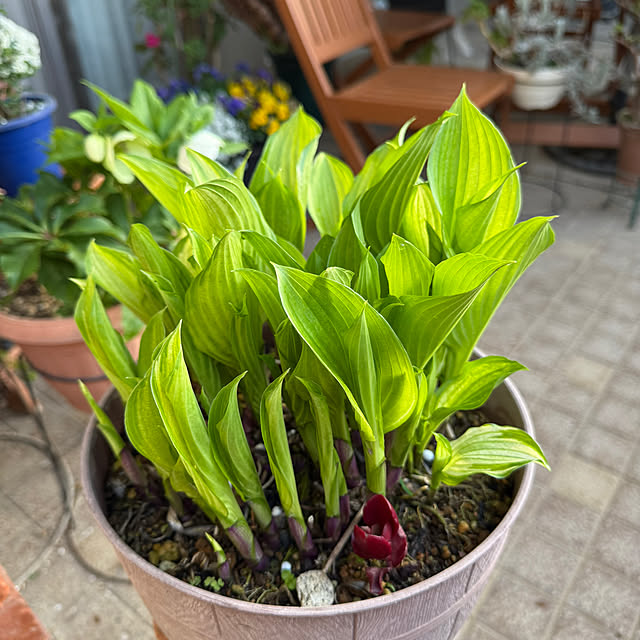 Aqettyさんの部屋