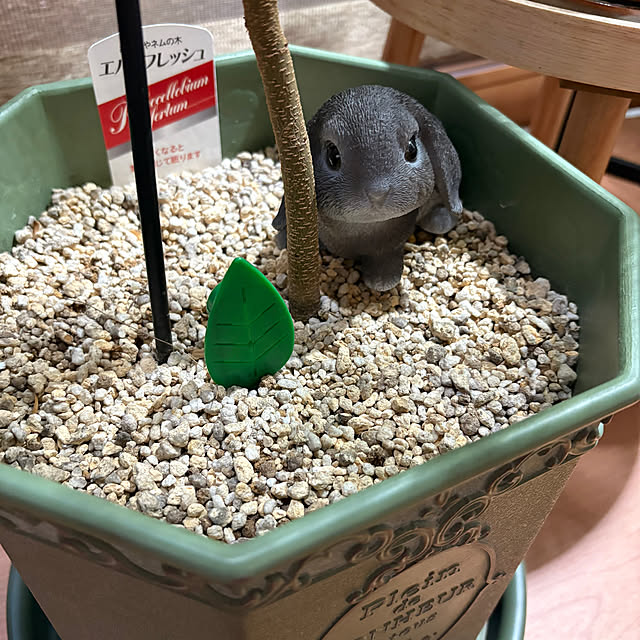 CoffeeHouseさんの部屋