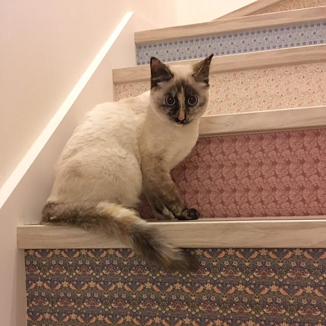 Moricさんの実例写真