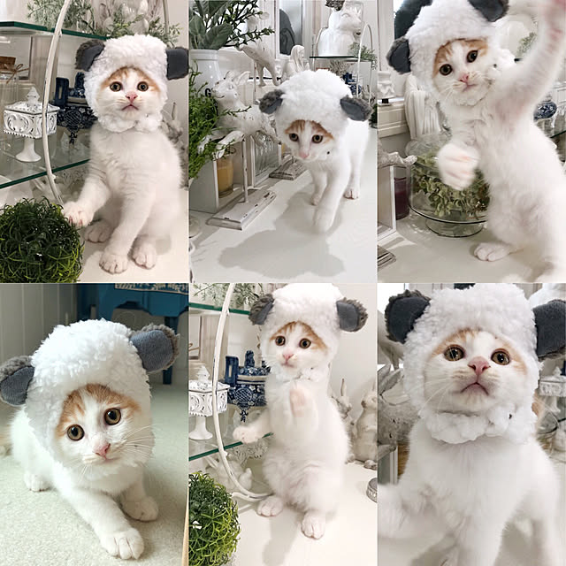 yuchiさんの実例写真