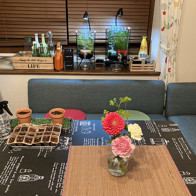 jun.vo_ov.junさんの実例写真