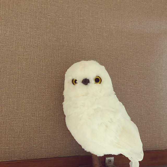 nyaさんの部屋