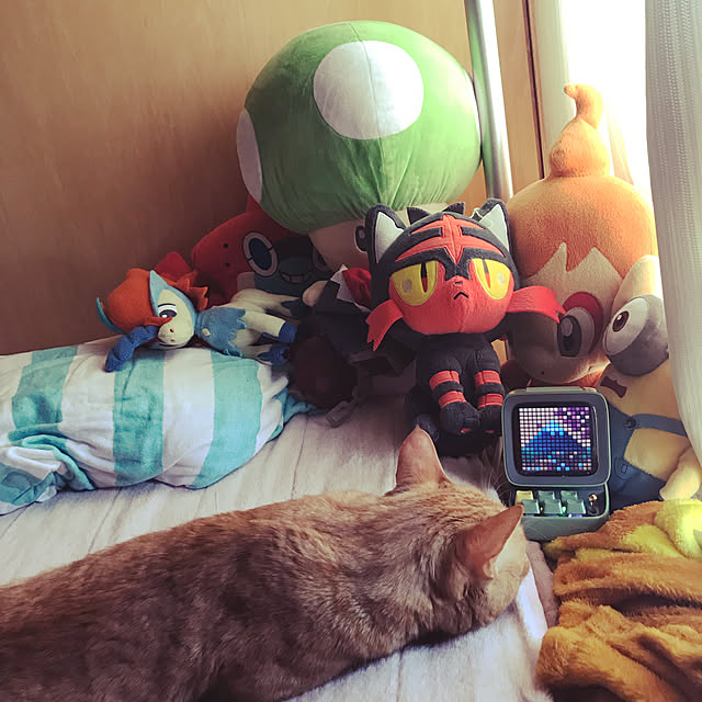 kou-kitiさんの実例写真