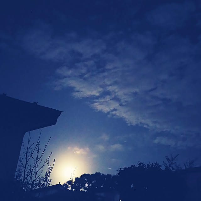 choku3さんの実例写真