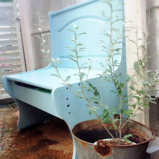 Suさんの実例写真