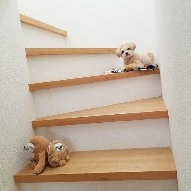 hinakonoさんの実例写真