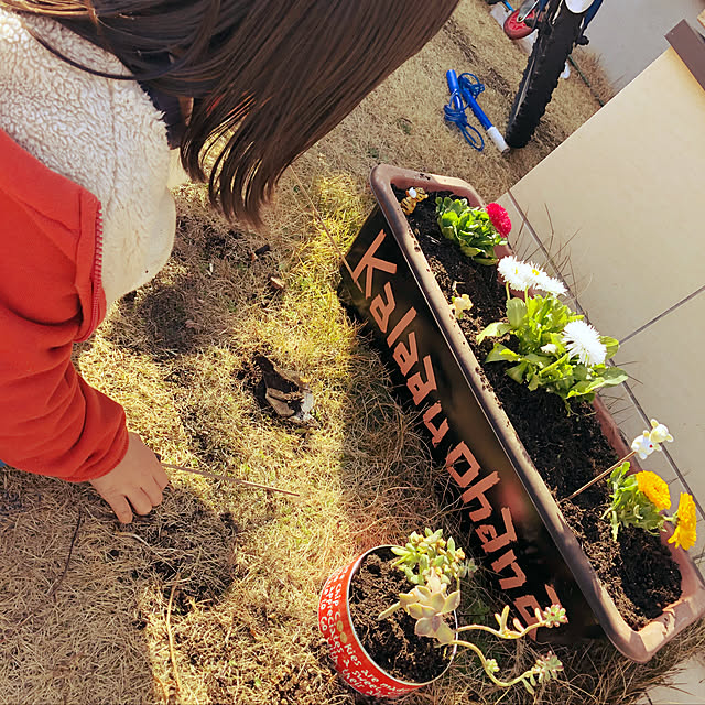Arataさんの実例写真