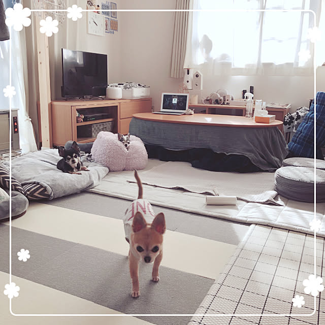 Emiさんの実例写真