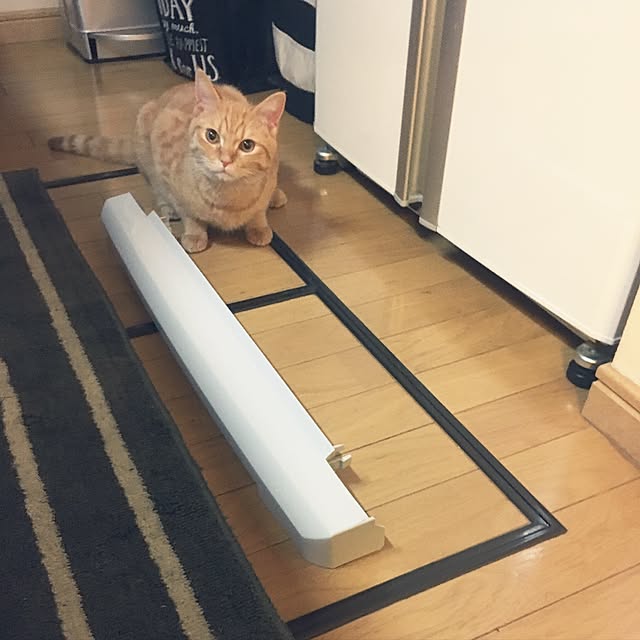 rumiさんの実例写真