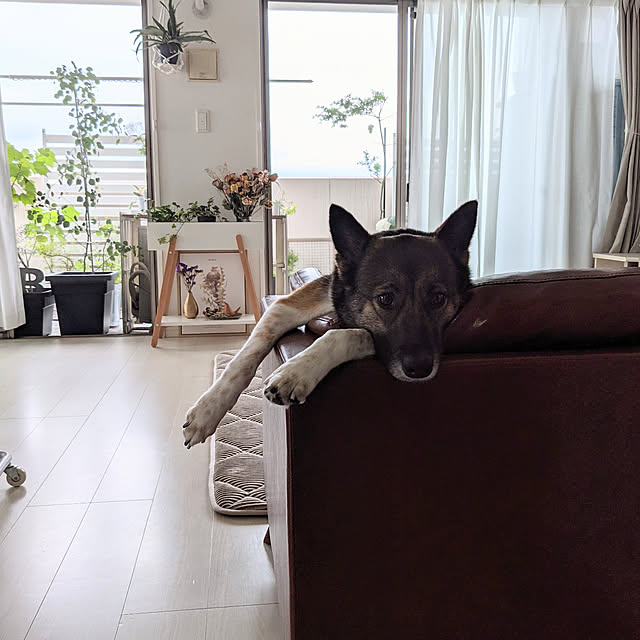 flannel.さんの実例写真