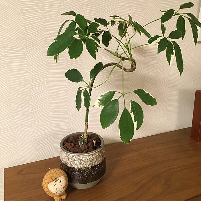 happyturnさんの実例写真