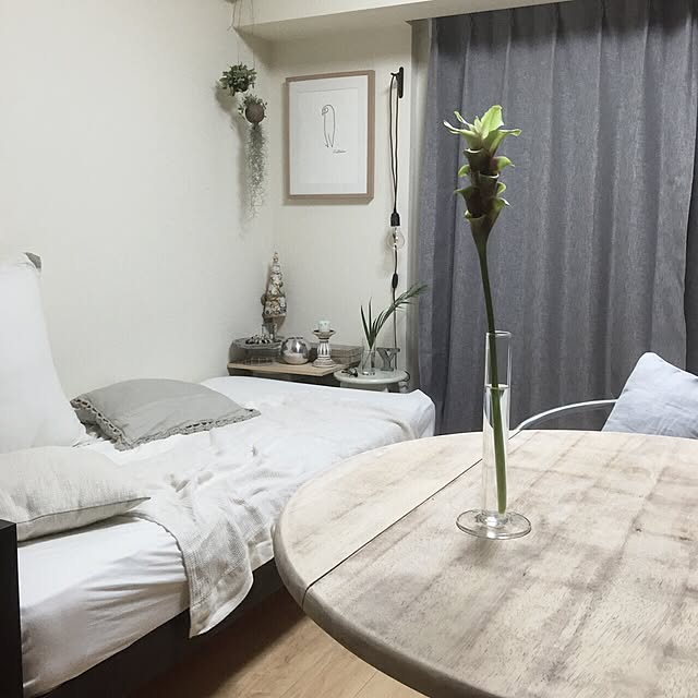 ECCOさんの実例写真