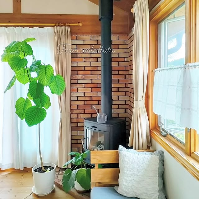 ai.happyplaceさんの実例写真