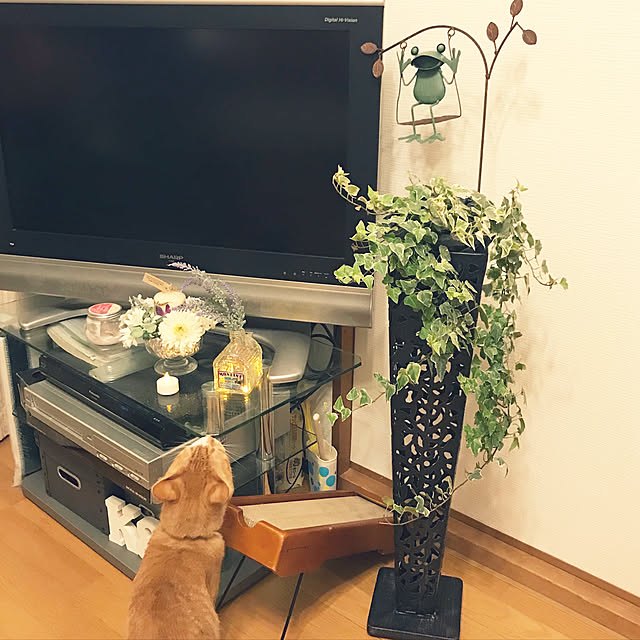 lavie0125さんの実例写真