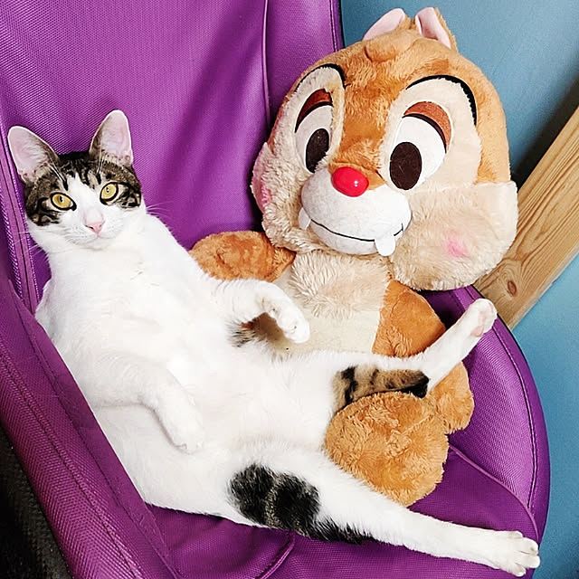 kirakirahikaruさんの実例写真