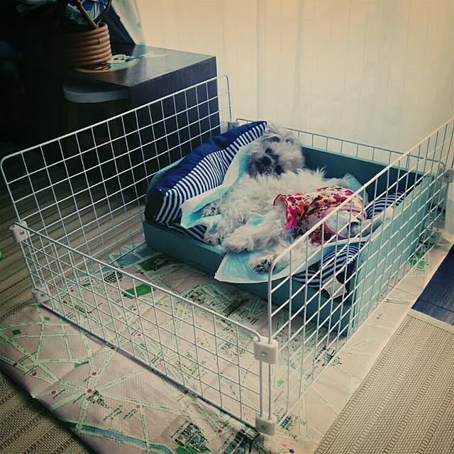 実例写真