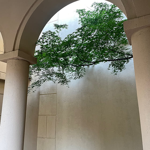 orangemintさんの部屋