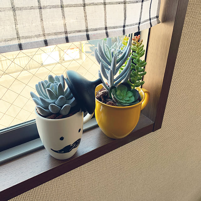 mozukuさんの実例写真