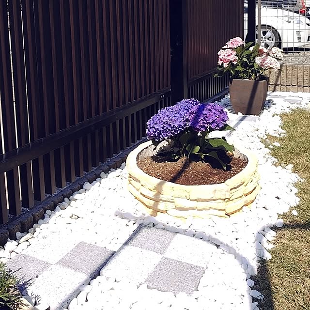tomoさんの部屋
