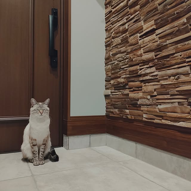 Atelier_tamakiさんの部屋