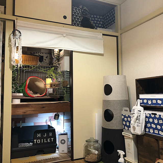 mikenekoさんの実例写真